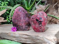 Polished Rhodonite Standing Free Forms x 2 From Rhusinga, Zimbabwe