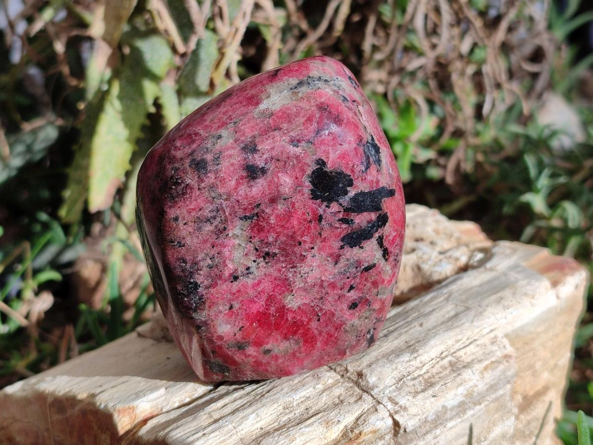 Polished Rhodonite Standing Free Forms x 2 From Rhusinga, Zimbabwe