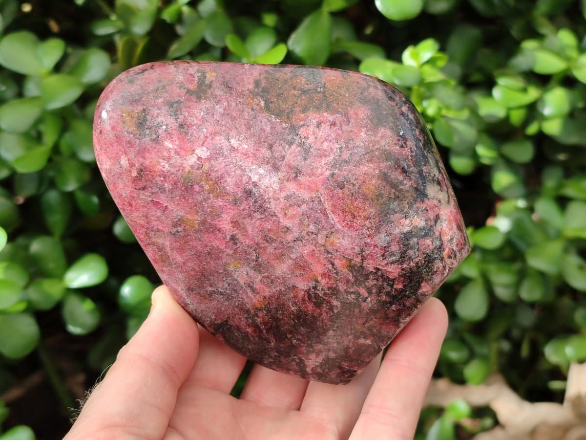 Polished Rhodonite Standing Free Forms x 2 From Rhusinga, Zimbabwe
