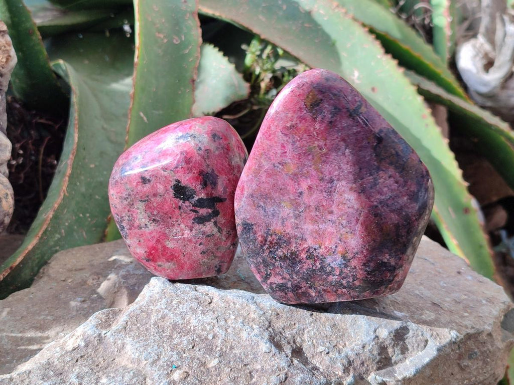 Polished Rhodonite Standing Free Forms x 2 From Rhusinga, Zimbabwe