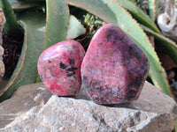 Polished Rhodonite Standing Free Forms x 2 From Rhusinga, Zimbabwe