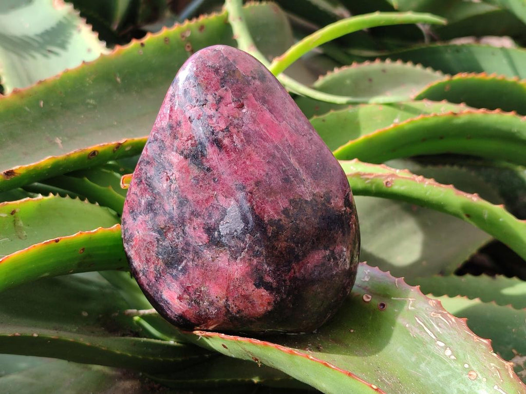 Polished Rhodonite Standing Free Forms x 2 From Rhusinga, Zimbabwe