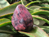 Polished Rhodonite Standing Free Forms x 2 From Rhusinga, Zimbabwe