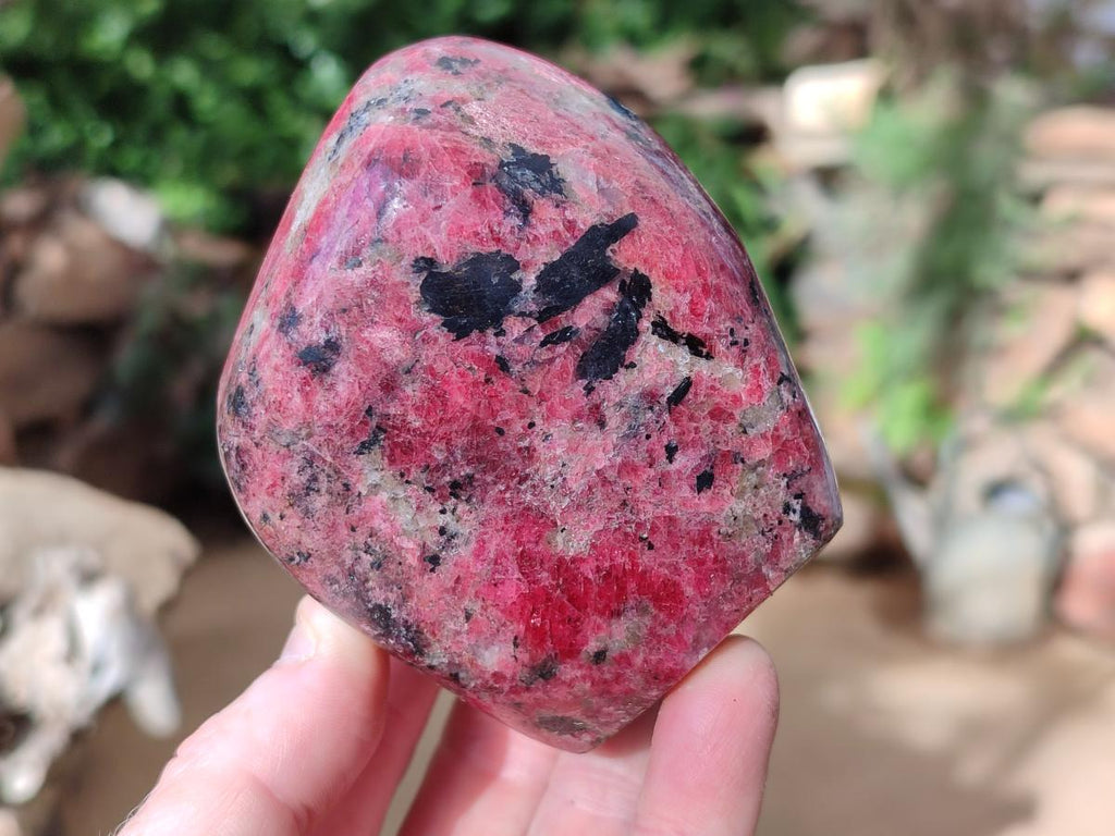 Polished Rhodonite Standing Free Forms x 2 From Rhusinga, Zimbabwe