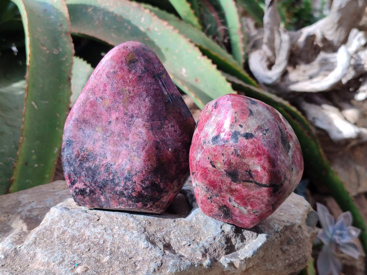 Polished Rhodonite Standing Free Forms x 2 From Rhusinga, Zimbabwe