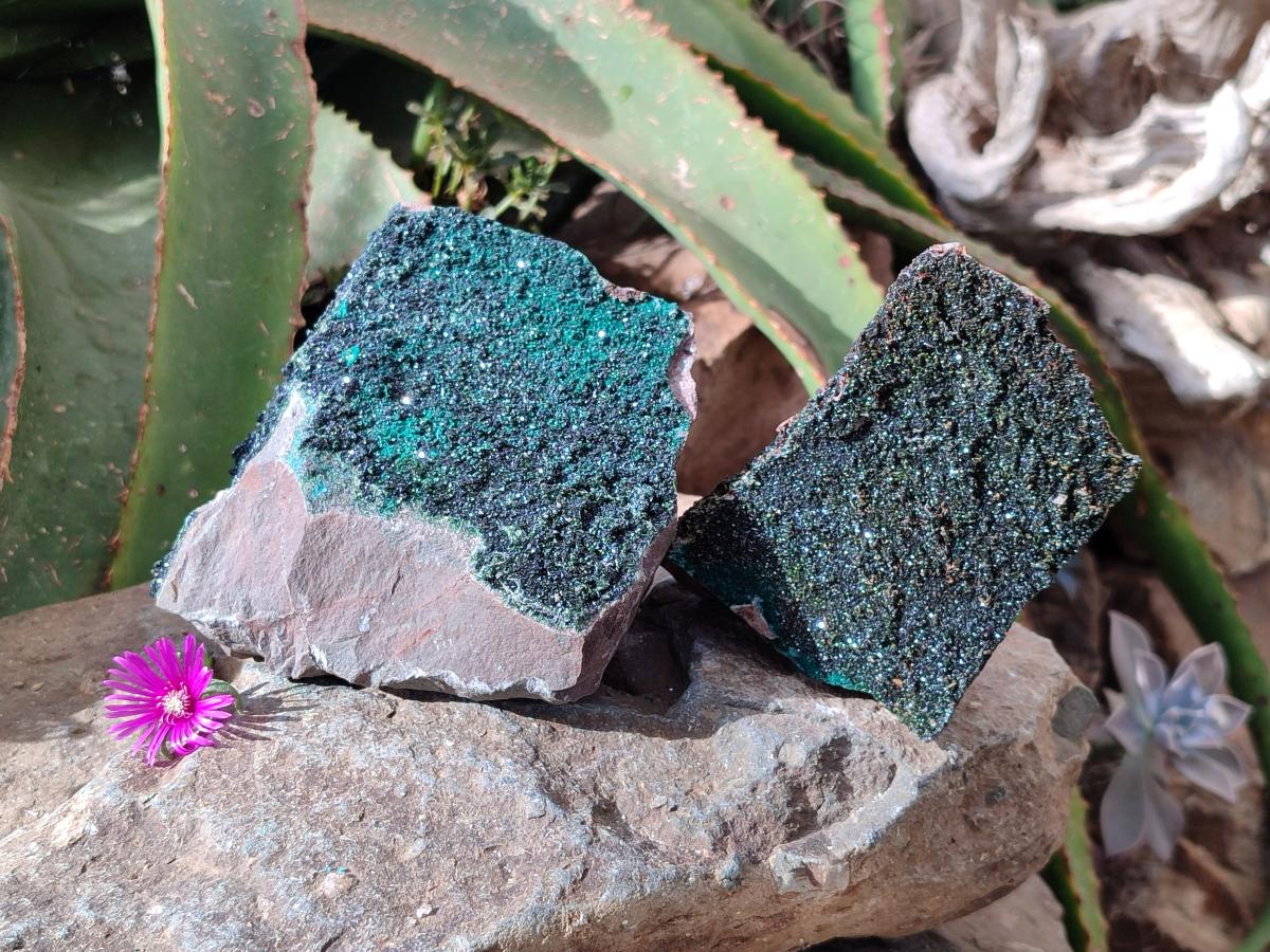 Natural Libethenite Crystals On Dolomite Matrix Specimens x 2 From Shituru, Congo
