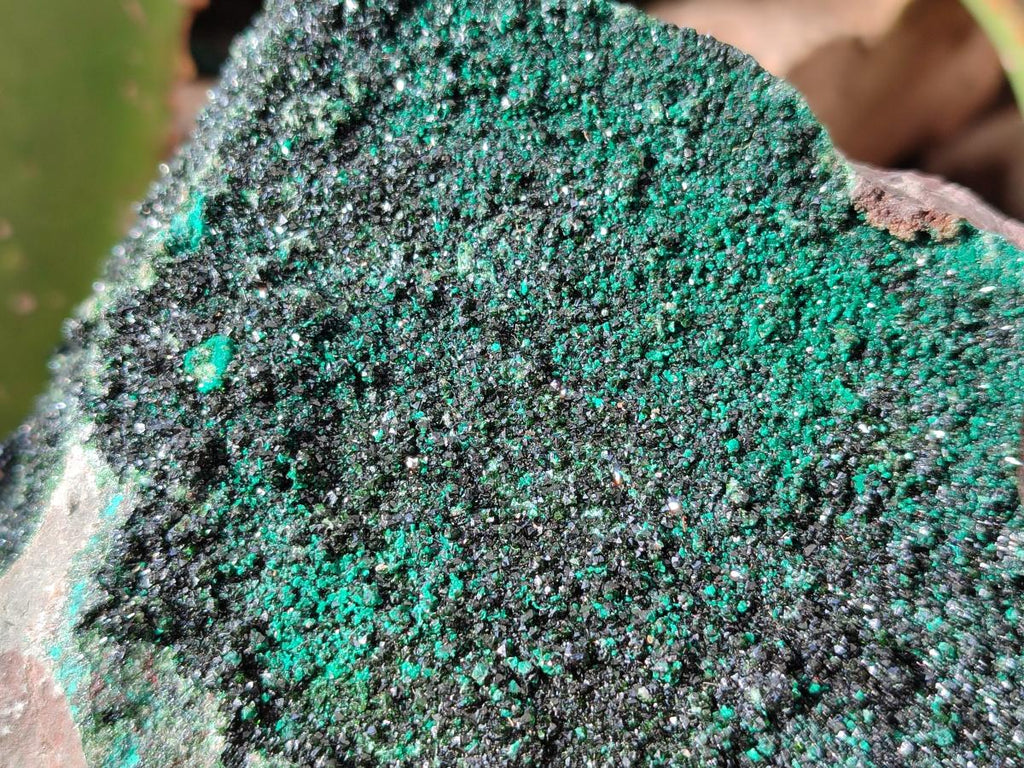 Natural Libethenite Crystals On Dolomite Matrix Specimens x 2 From Shituru, Congo