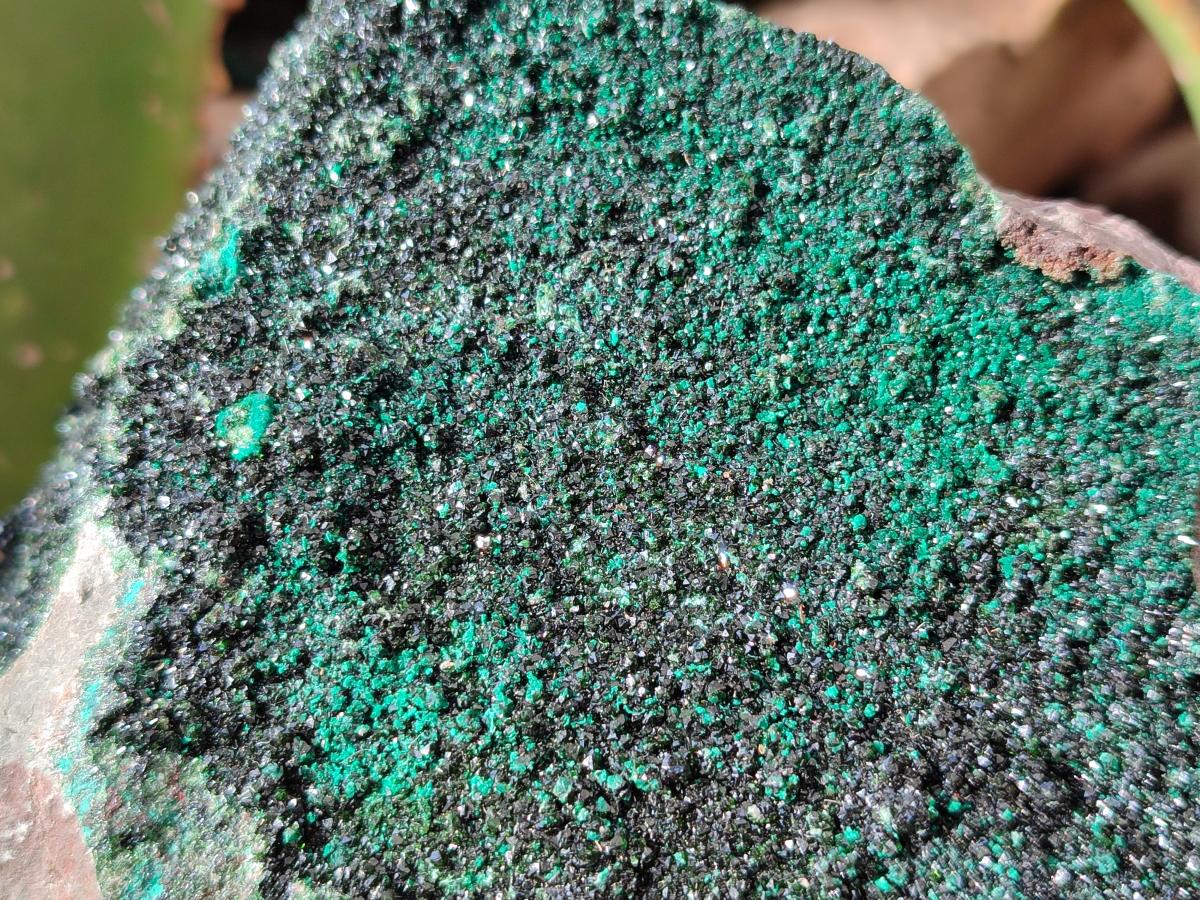 Natural Libethenite Crystals On Dolomite Matrix Specimens x 2 From Shituru, Congo