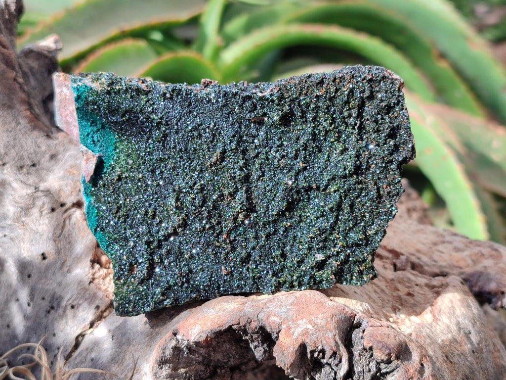 Natural Libethenite Crystals On Dolomite Matrix Specimens x 2 From Shituru, Congo