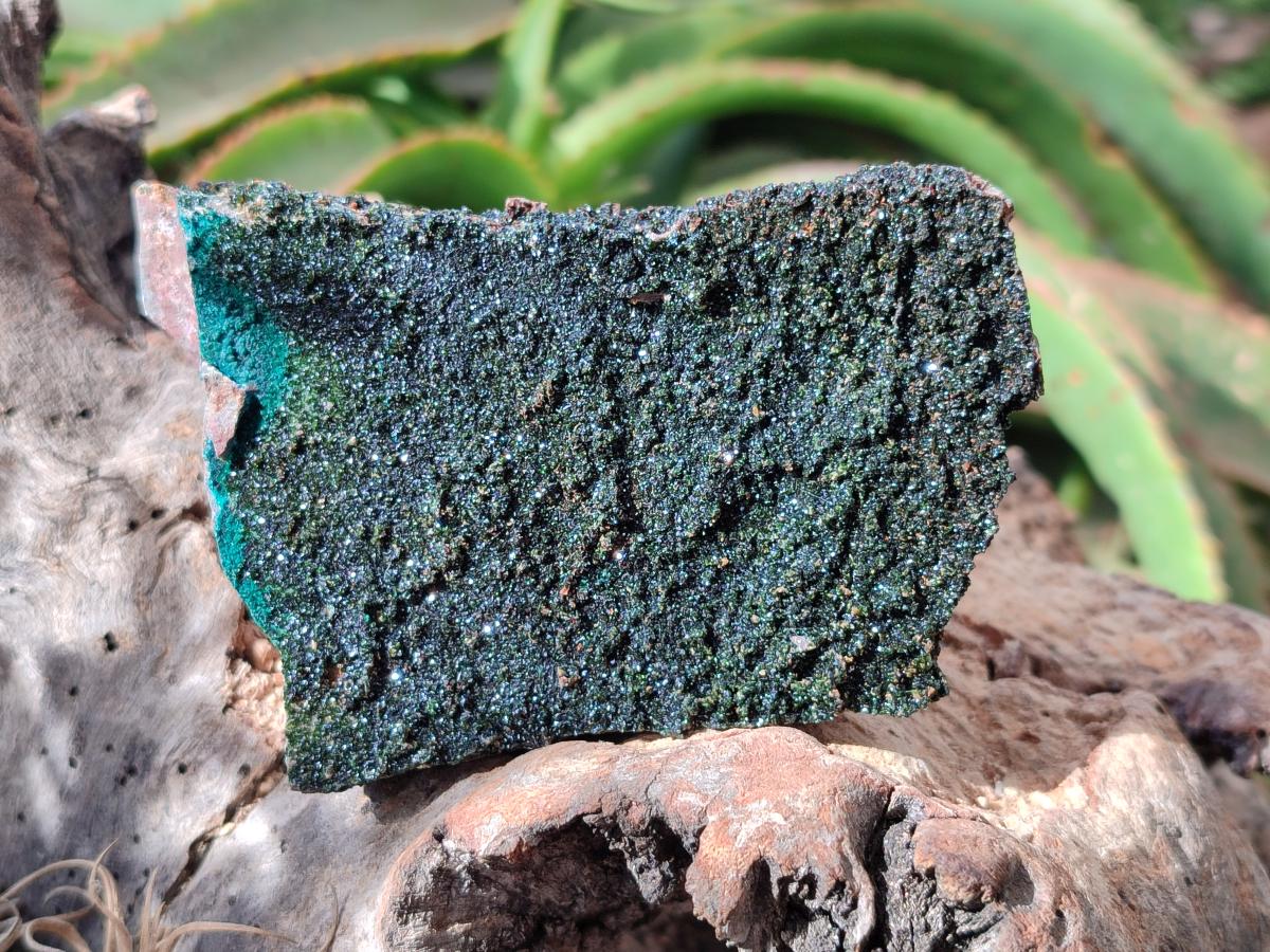 Natural Libethenite Crystals On Dolomite Matrix Specimens x 2 From Shituru, Congo