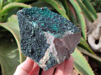 Natural Libethenite Crystals On Dolomite Matrix Specimens x 2 From Shituru, Congo