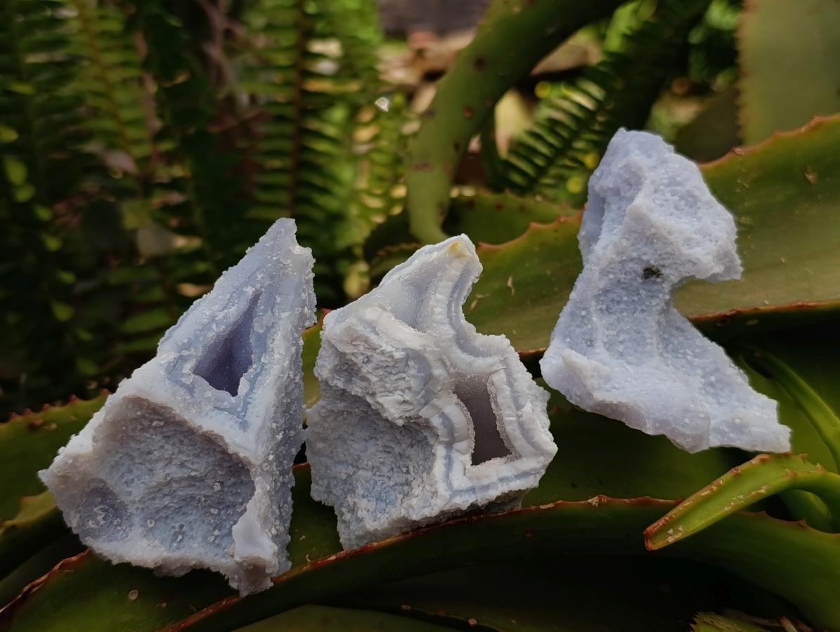 Natural Etched Blue Chalcedony Geodes x 12 From Nsanje, Malawi