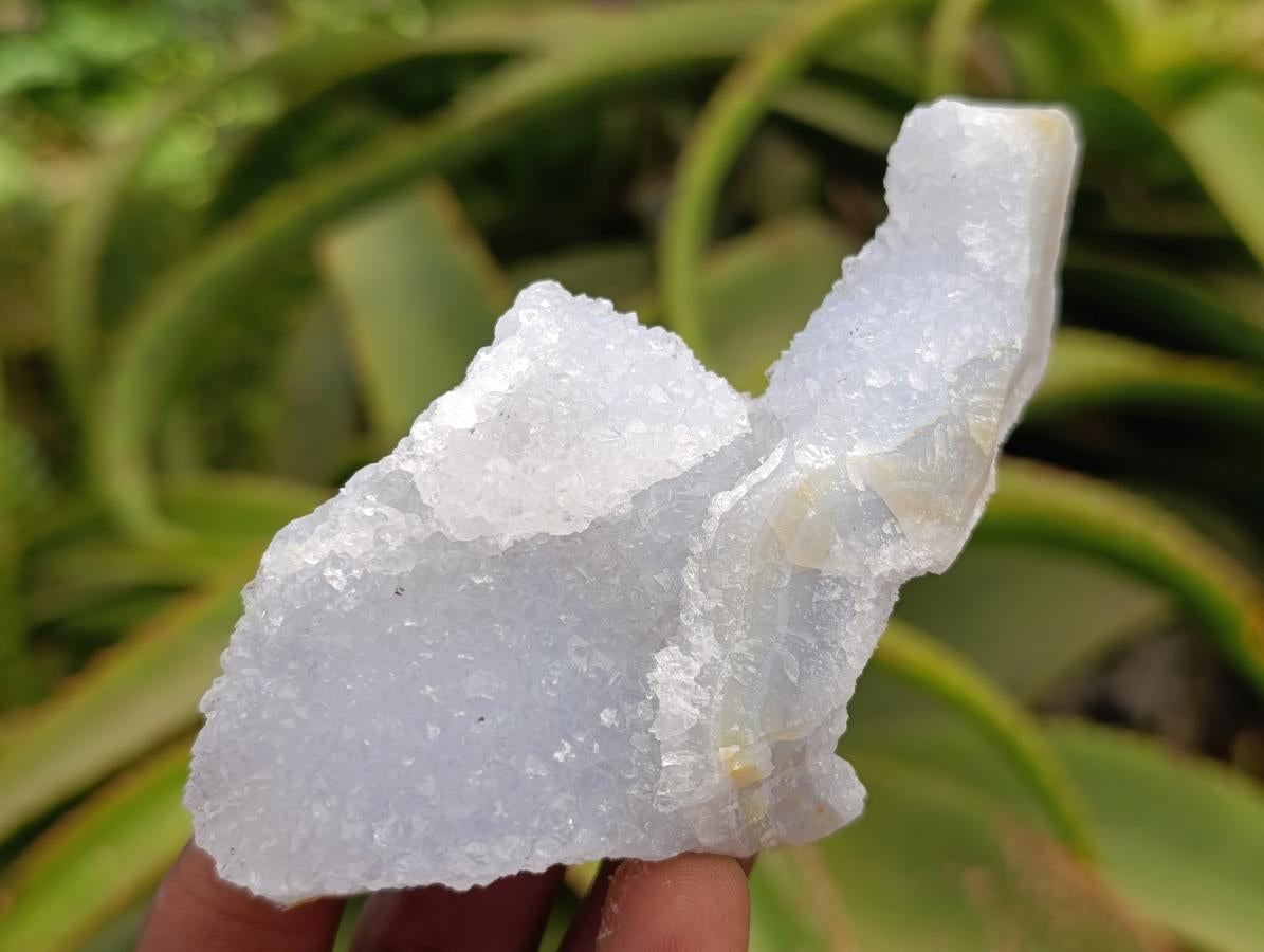 Natural Etched Blue Chalcedony Geodes x 12 From Nsanje, Malawi