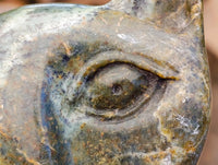 Hand Made Leopard Stone Cat Face Carvings x 3 From Zimbabwe