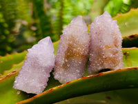 Natural Lilac Ametrine Spirit Crystals x 35 From Boekenhouthoek, South Africa