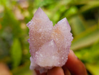Natural Lilac Ametrine Spirit Crystals x 35 From Boekenhouthoek, South Africa