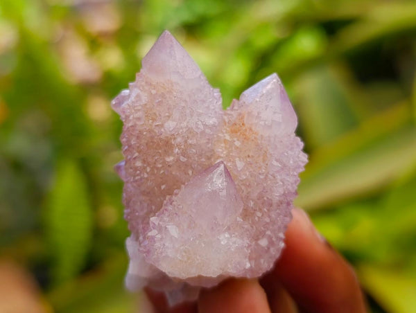 Natural Lilac Ametrine Spirit Crystals x 35 From Boekenhouthoek, South Africa