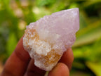 Natural Lilac Ametrine Spirit Crystals x 35 From Boekenhouthoek, South Africa