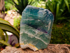 Natural Watermelon Fluorite Cobbed Specimens x 3 From Uis, Namibia