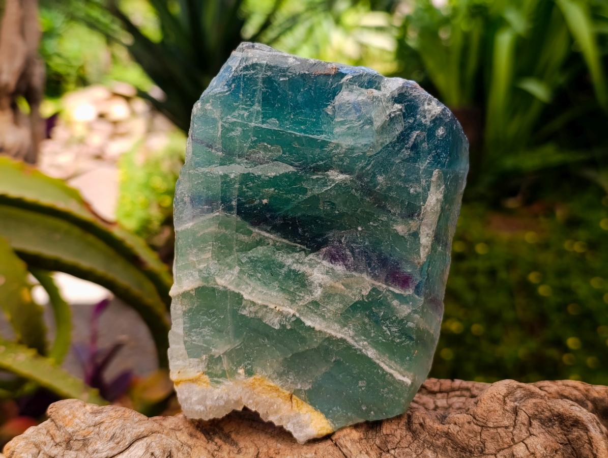 Natural Watermelon Fluorite Cobbed Specimens x 3 From Uis, Namibia