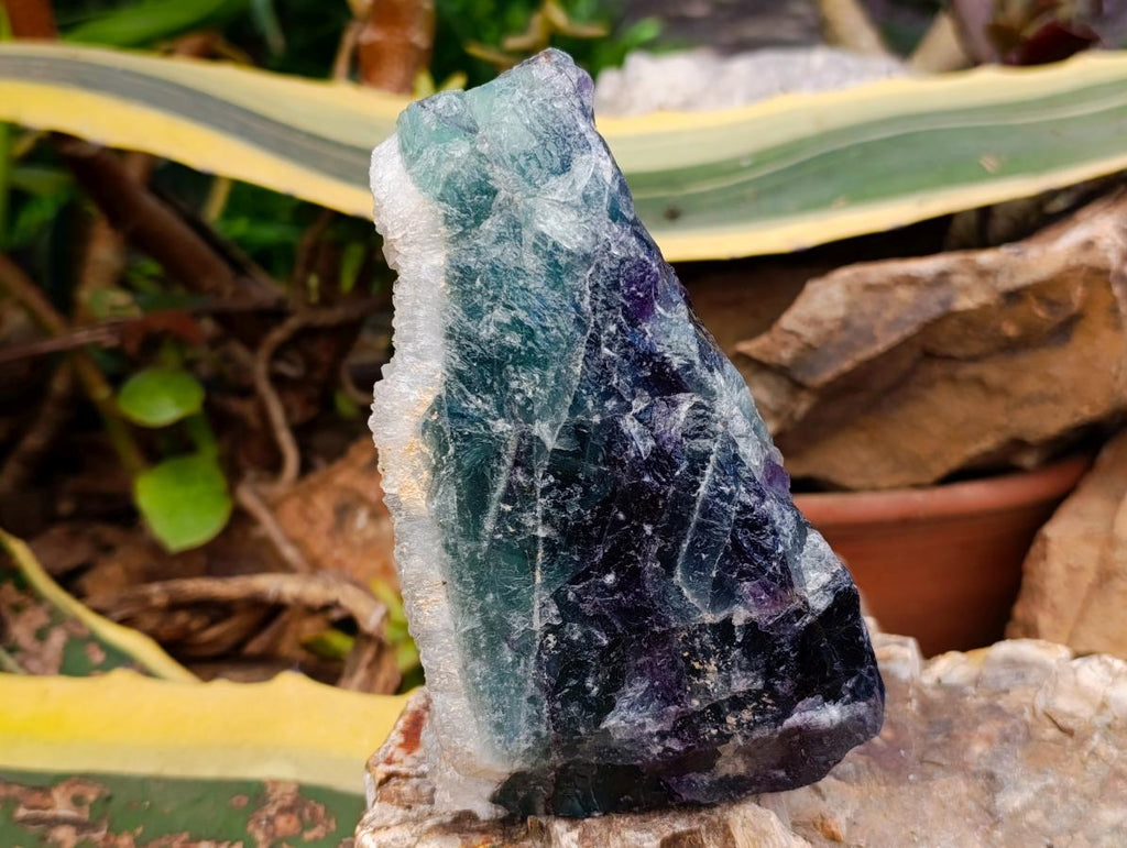Natural Watermelon Fluorite Cobbed Specimens x 3 From Uis, Namibia