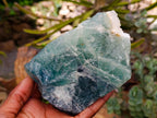 Natural Watermelon Fluorite Cobbed Specimens x 3 From Uis, Namibia