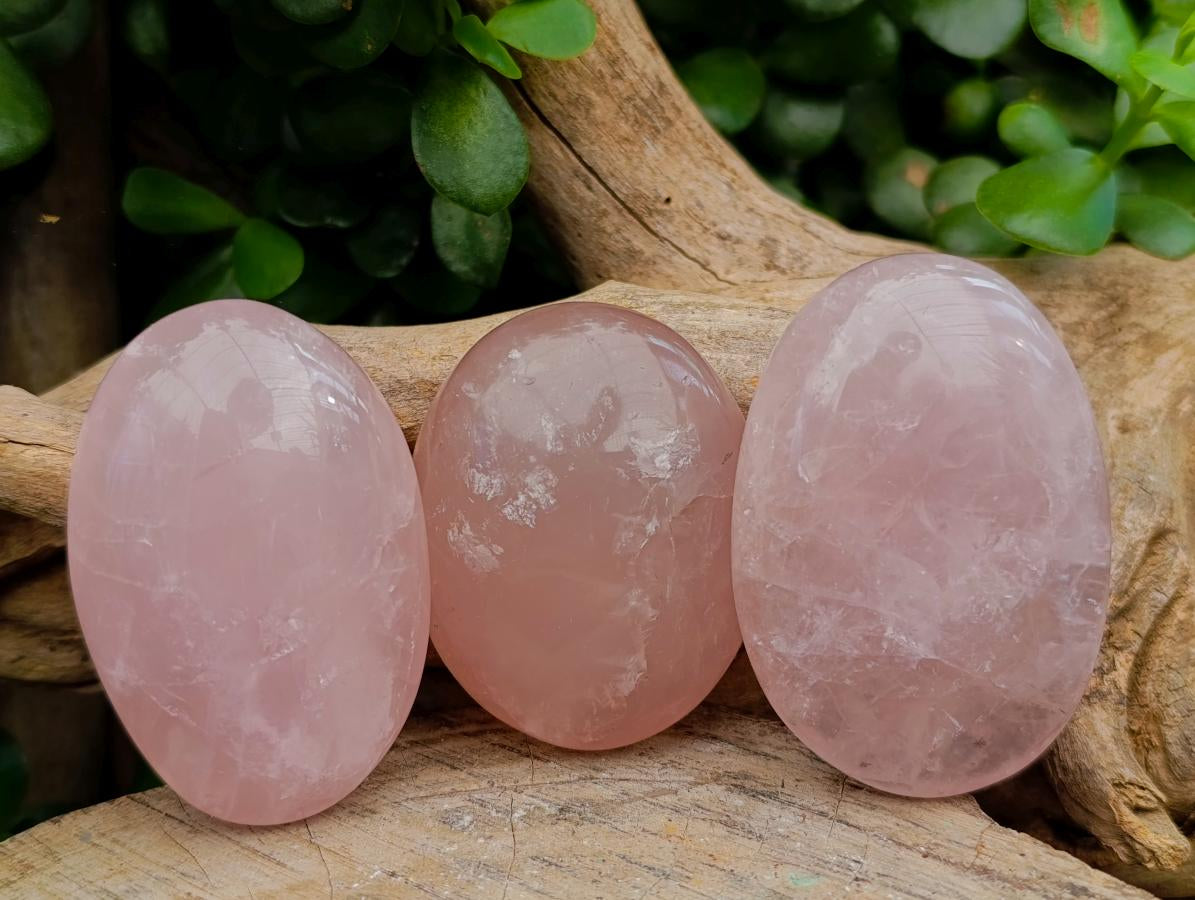 Polished Rose Quartz Palm Stones x 12 From Madagascar