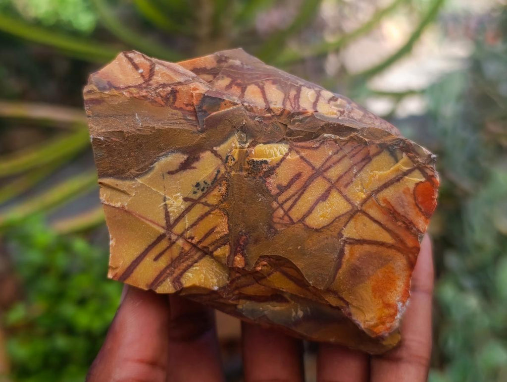 Natural Nguni Jasper Cobbed Specimens x 12 From Northern Cape, South Africa