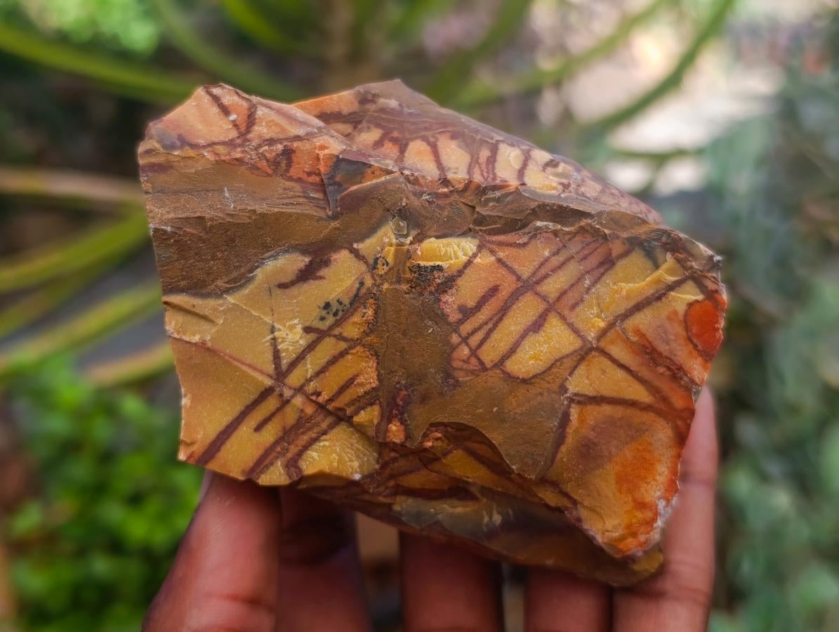 Natural Nguni Jasper Cobbed Specimens x 12 From Northern Cape, South Africa