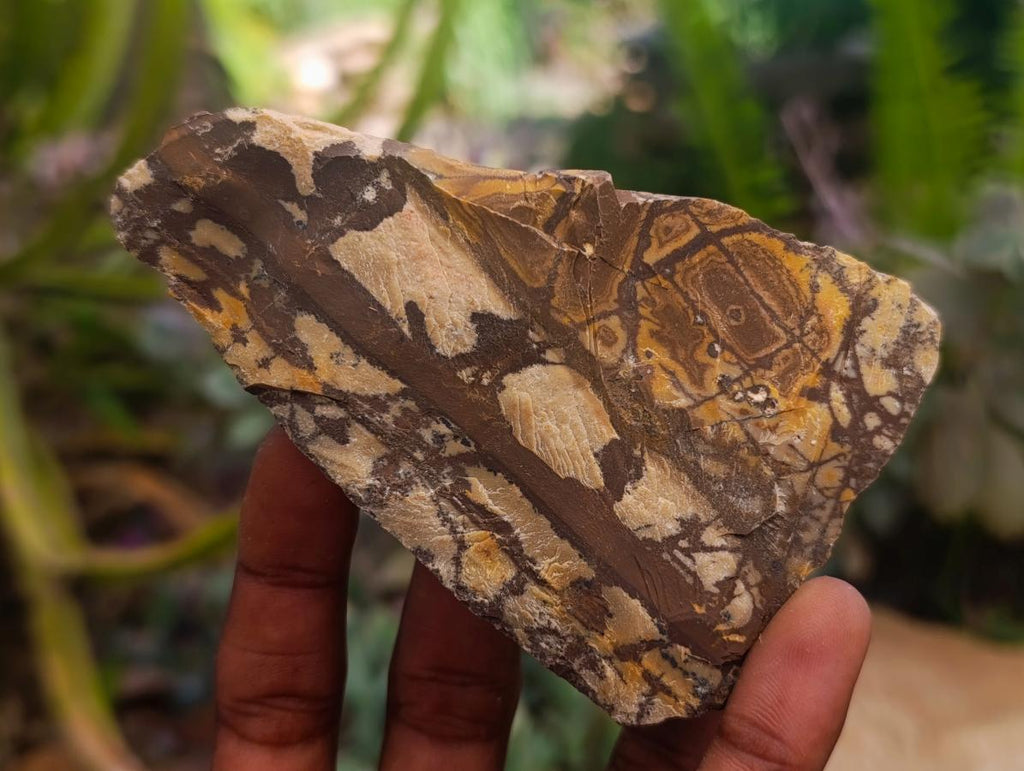 Natural Nguni Jasper Cobbed Specimens x 12 From Northern Cape, South Africa
