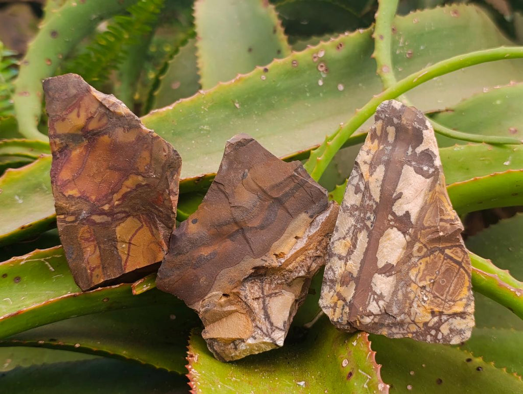 Natural Nguni Jasper Cobbed Specimens x 12 From Northern Cape, South Africa