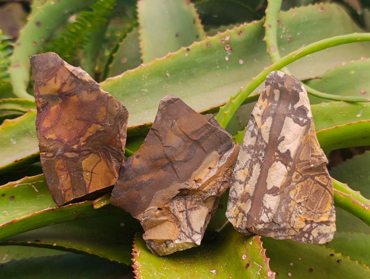 Natural Nguni Jasper Cobbed Specimens x 12 From Northern Cape, South Africa