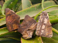 Natural Nguni Jasper Cobbed Specimens x 12 From Northern Cape, South Africa