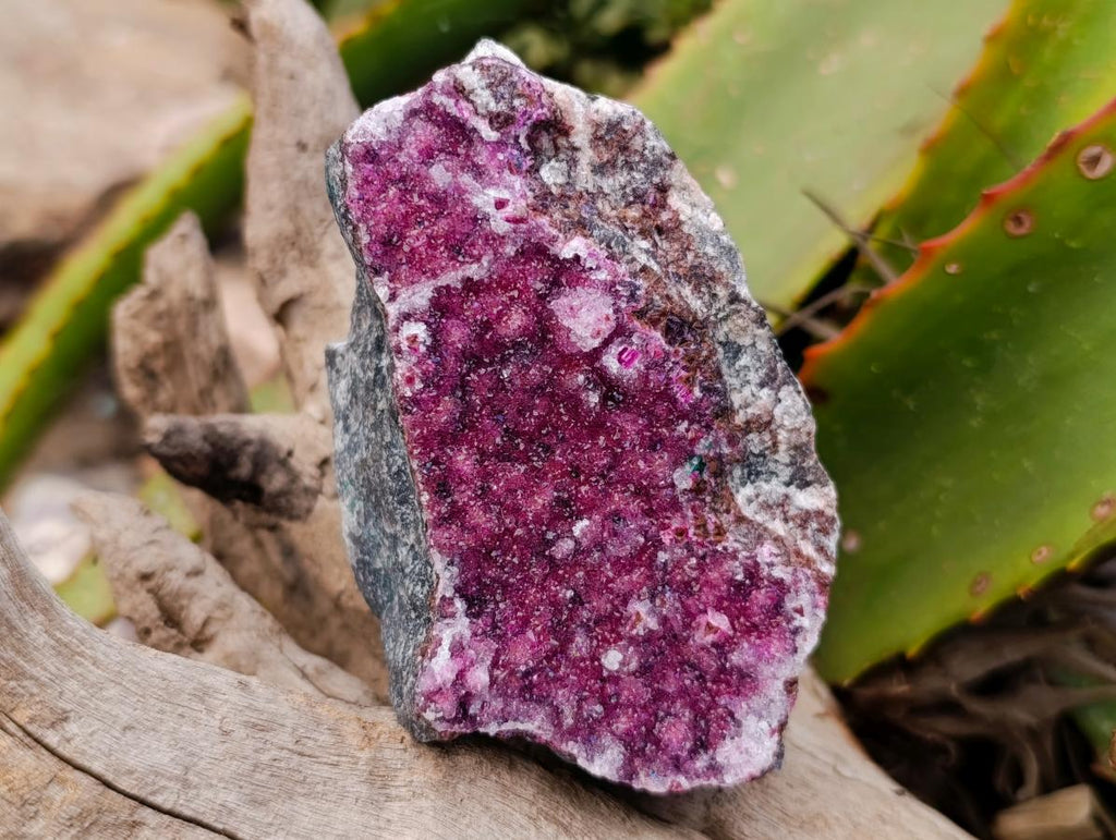 Natural Salrose Cobaltion Dolomite Specimens x 4 From Kakanda, Congo