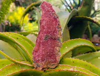 Natural Salrose Cobaltion Dolomite Specimens x 4 From Kakanda, Congo