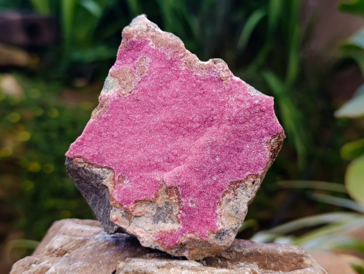 Natural Salrose Cobaltion Dolomite Specimens x 4 From Kakanda, Congo
