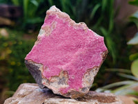 Natural Salrose Cobaltion Dolomite Specimens x 4 From Kakanda, Congo