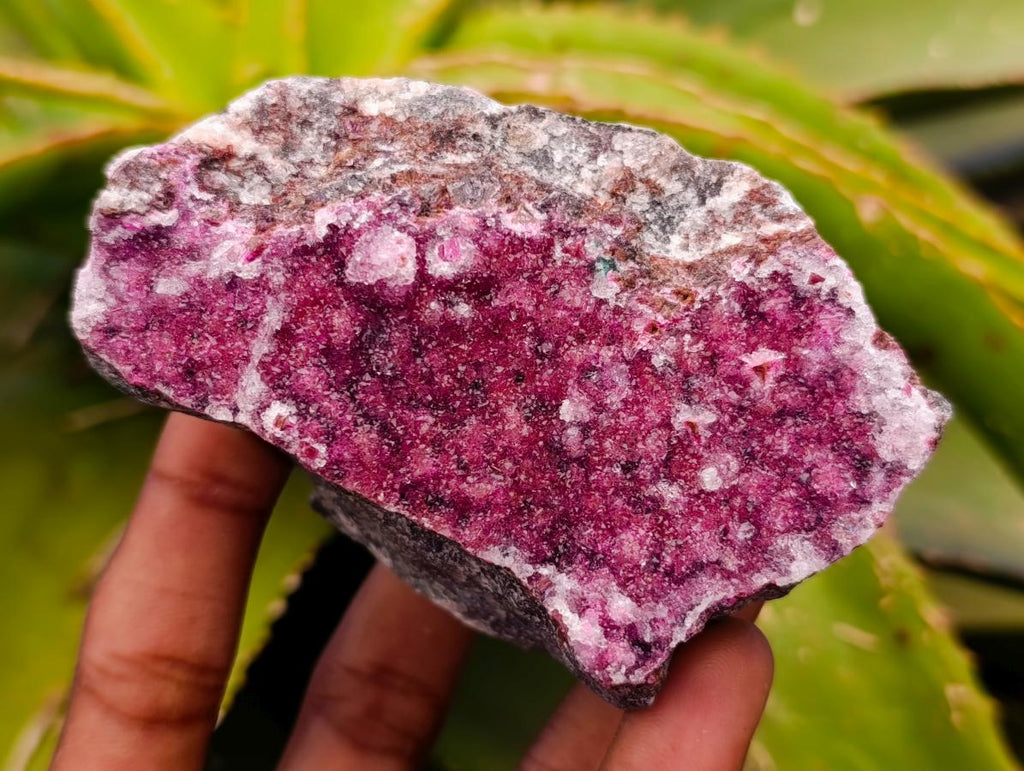 Natural Salrose Cobaltion Dolomite Specimens x 4 From Kakanda, Congo
