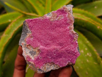 Natural Salrose Cobaltion Dolomite Specimens x 4 From Kakanda, Congo