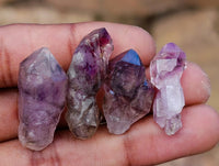 Natural Window Amethyst Crystals x 70 From Chiredzi, Zimbabwe