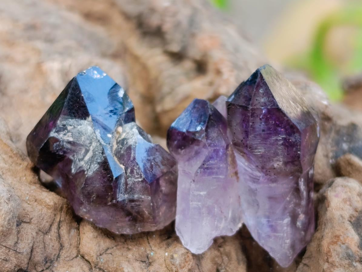 Natural Window Amethyst Crystals x 70 From Chiredzi, Zimbabwe
