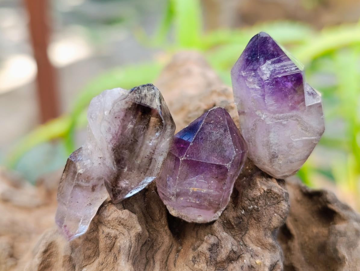 Natural Window Amethyst Crystals x 70 From Chiredzi, Zimbabwe