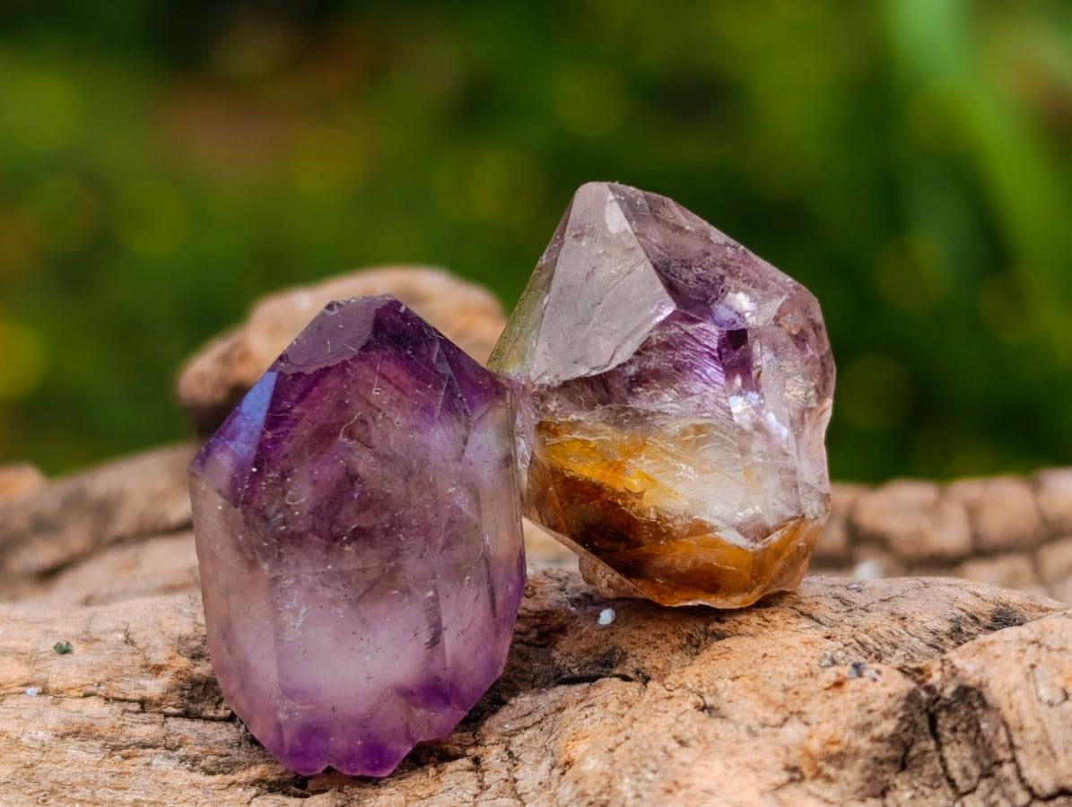 Natural Window Amethyst Crystals x 70 From Chiredzi, Zimbabwe