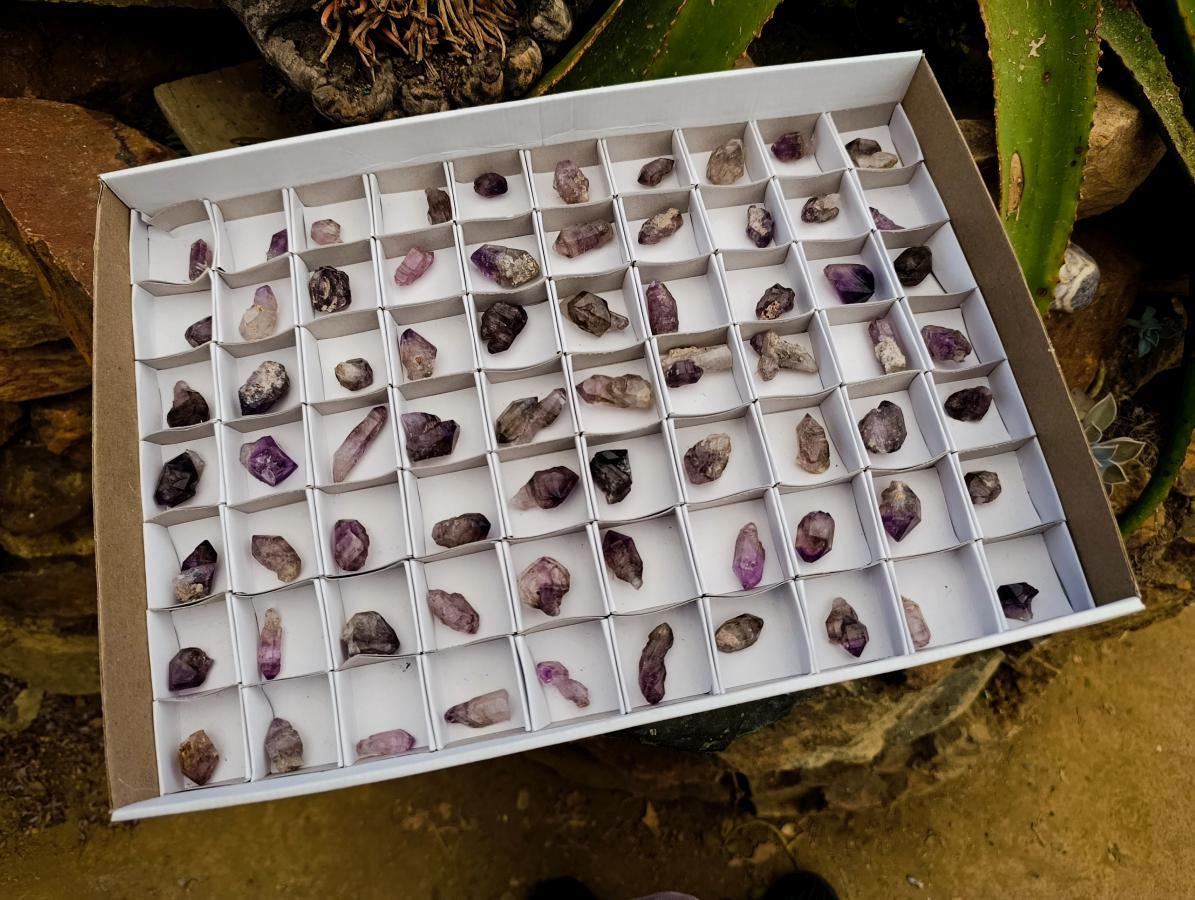 Natural Window Amethyst Crystals x 70 From Chiredzi, Zimbabwe