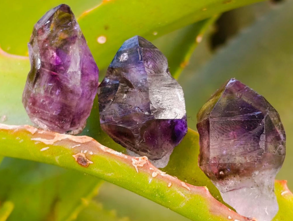 Natural Window Amethyst Crystals x 70 From Chiredzi, Zimbabwe