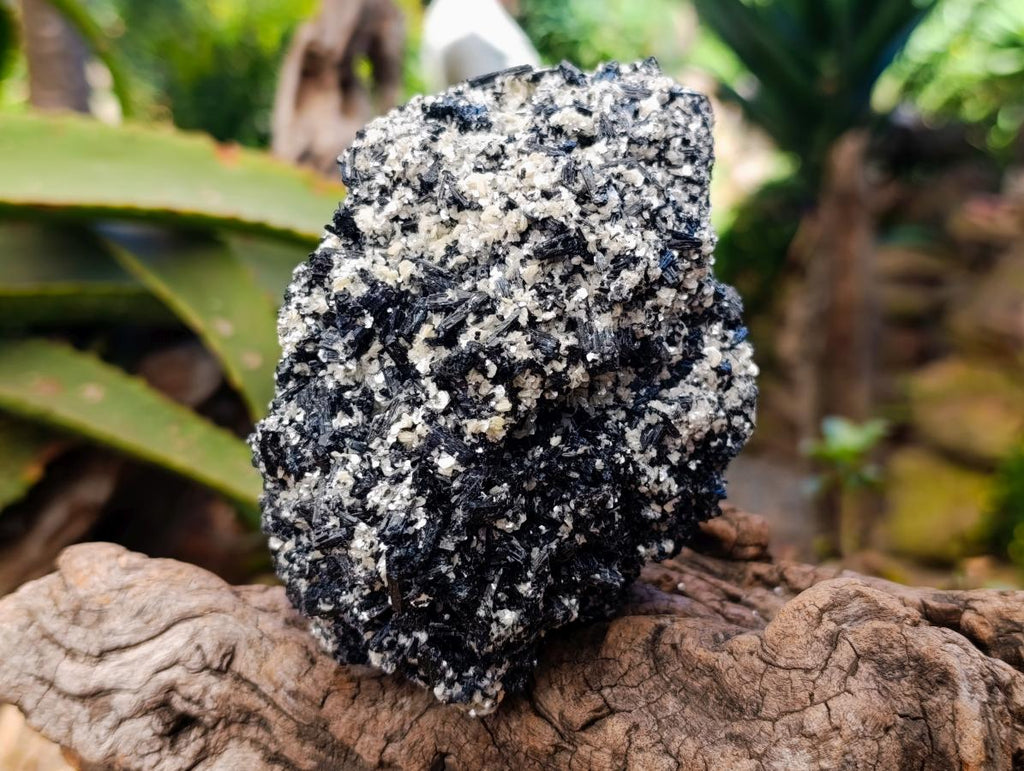 Natural Schorl Black Tourmaline With Vermiculite x 3 From Erongo, Namibia