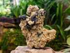 Natural Schorl Black Tourmaline With Vermiculite x 3 From Erongo, Namibia