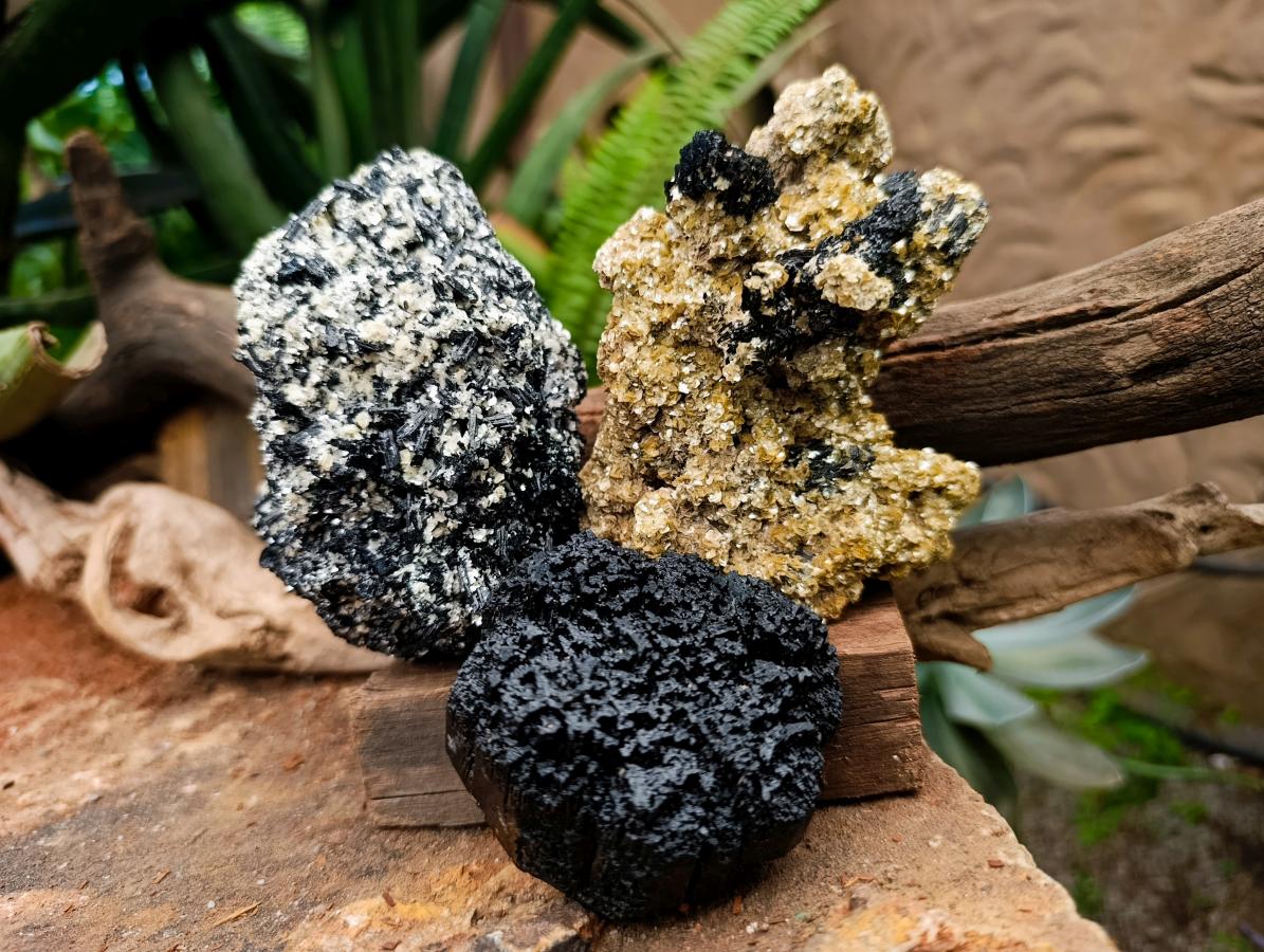 Natural Schorl Black Tourmaline With Vermiculite x 3 From Erongo, Namibia