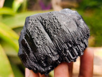 Natural Schorl Black Tourmaline With Vermiculite x 3 From Erongo, Namibia