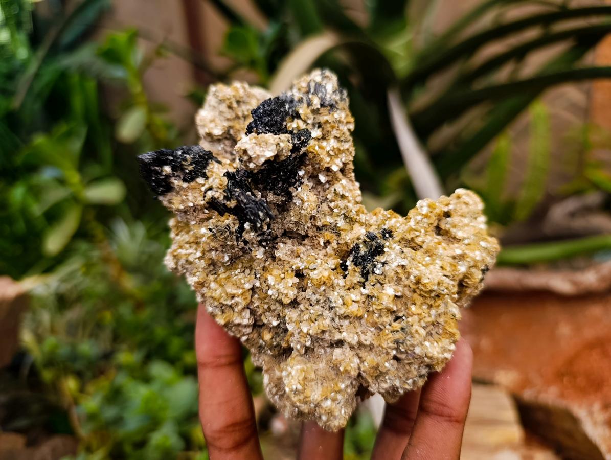 Natural Schorl Black Tourmaline With Vermiculite x 3 From Erongo, Namibia